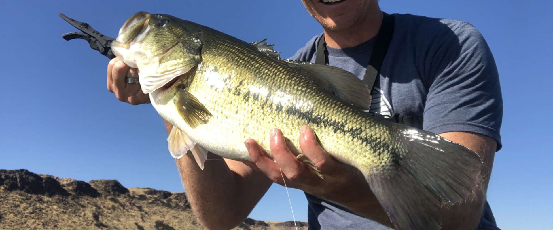 The Best Water Temperatures for Bass Fishing in Northern VA An Expert