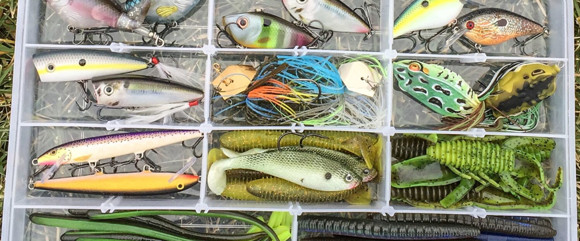 The Ultimate Guide to Bass Fishing in Northern VA