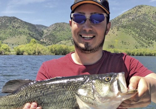 Ideal Water pH Levels for Bass Fishing in Northern VA