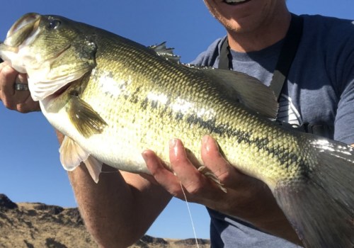 The Best Water Temperatures for Bass Fishing in Northern VA: An Expert's Guide