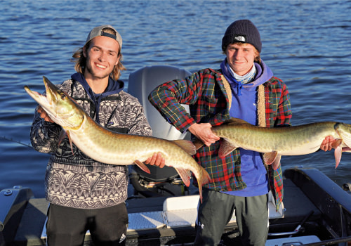 Bass Fishing in Northern Virginia: All You Need to Know