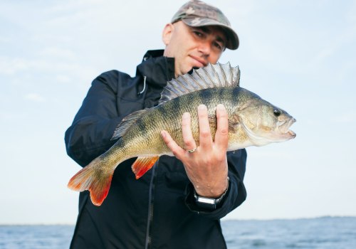 Gear Up For Success: Essential Equipment For Bass Fishing In Northern VA