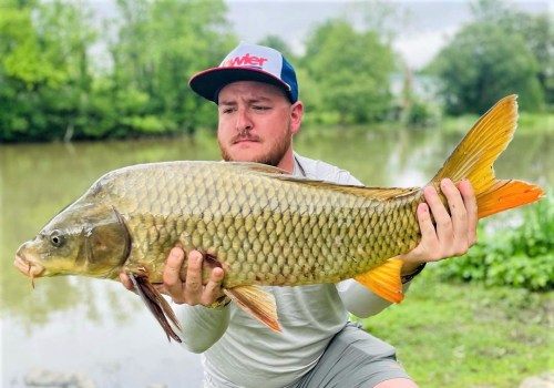 The Best Largemouth Bass Fishing Spots in Northern Virginia: An Expert's Guide